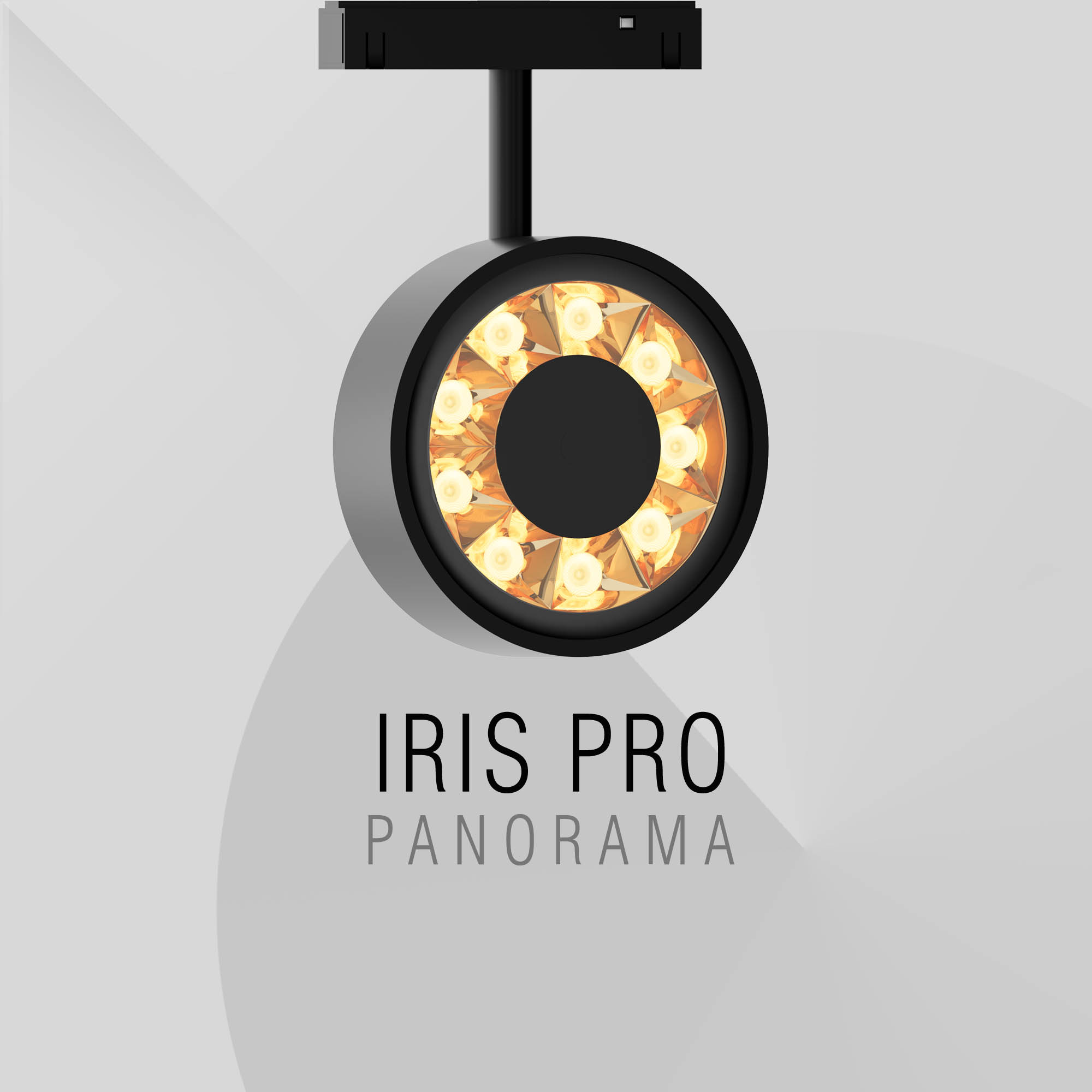 IRIS-PRO_0000_Layer 1