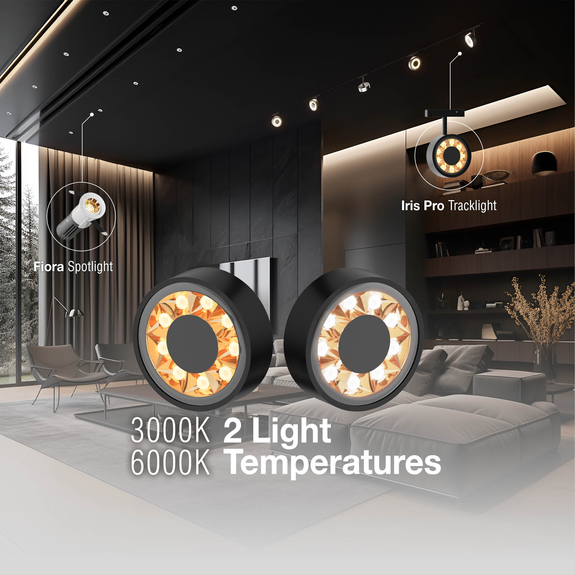 IRIS-PRO_0003_Layer 4